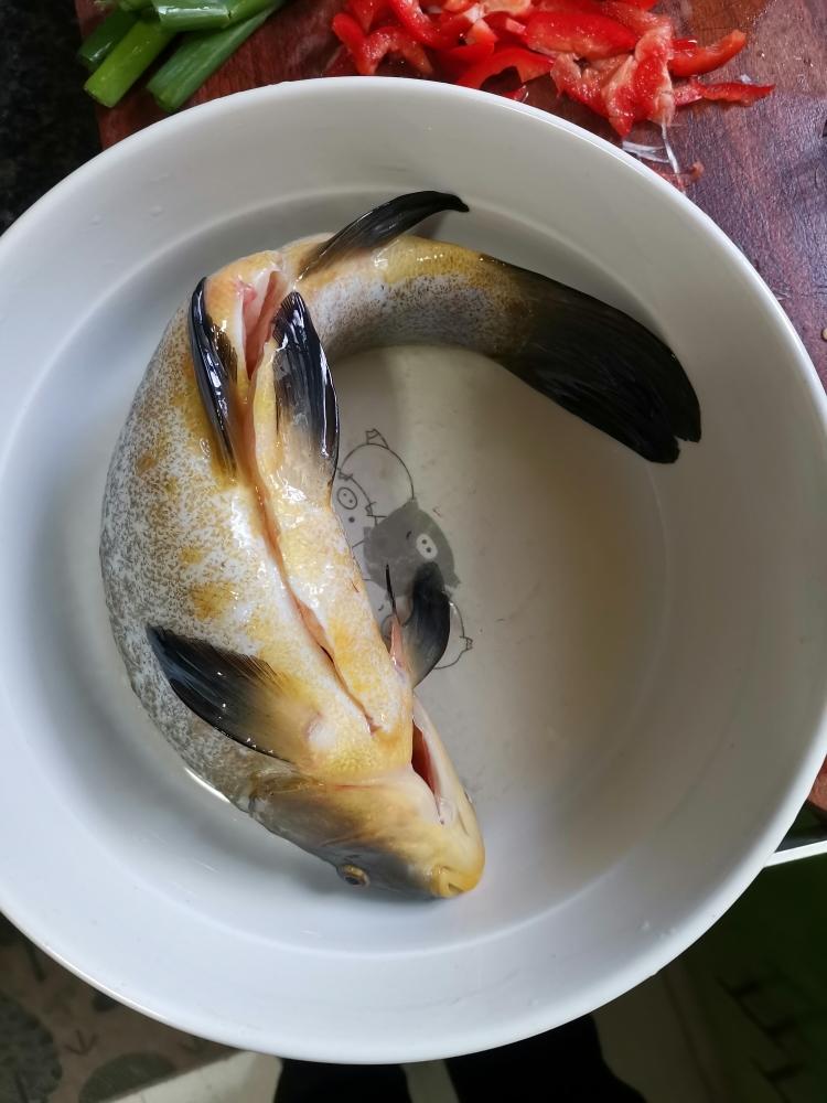 丁桂鱼洗净去鳞去鳃剖开,两侧和腹内均匀抹上料酒和少量盐腌制20分钟