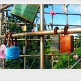 啊呜.jpg 哈奇0328.jpg